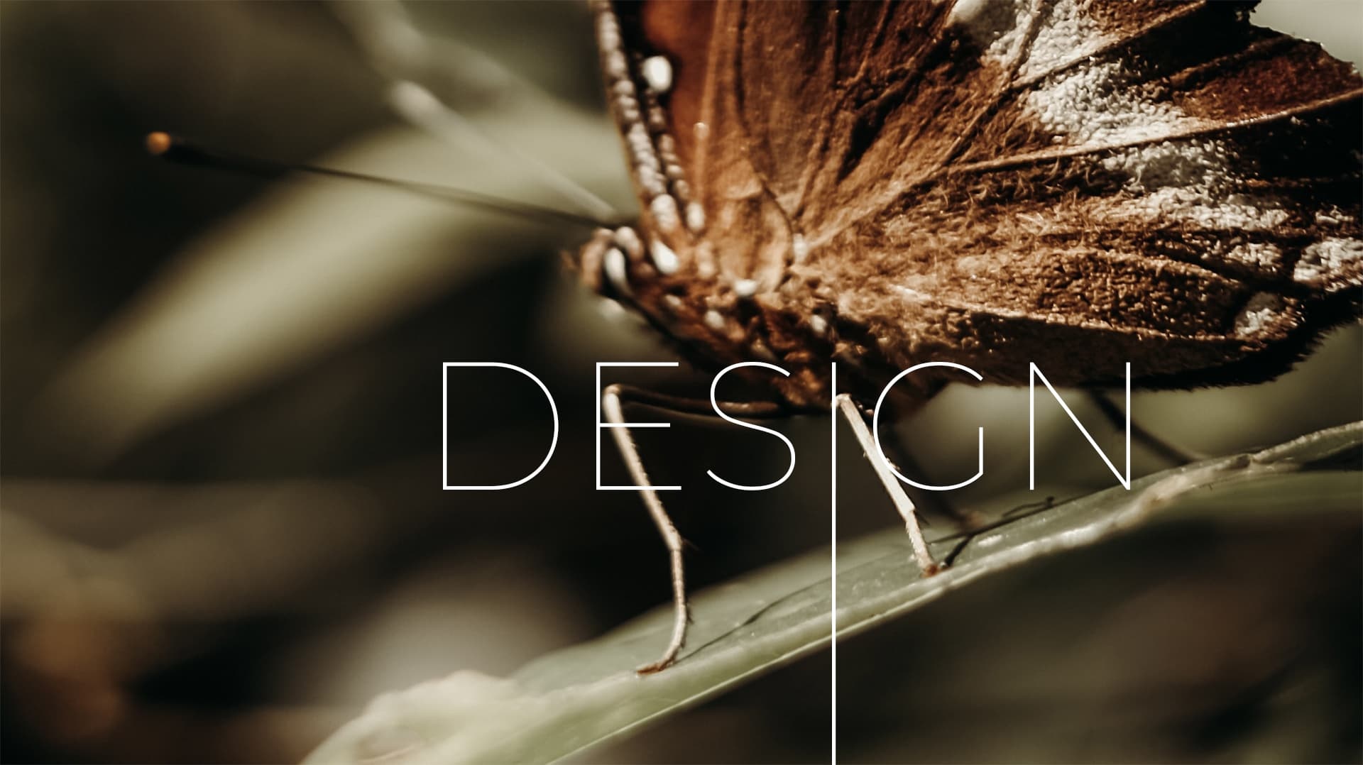 20 Year Anniversary - Design