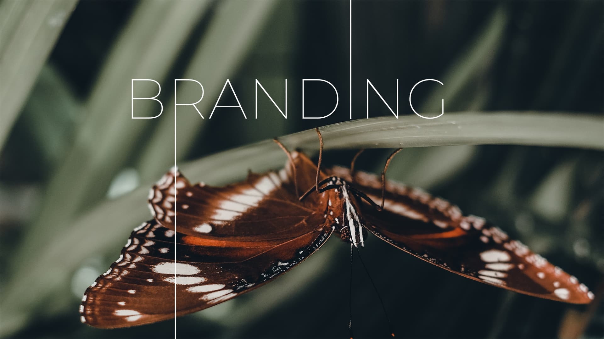 20 Year Anniversary - Branding