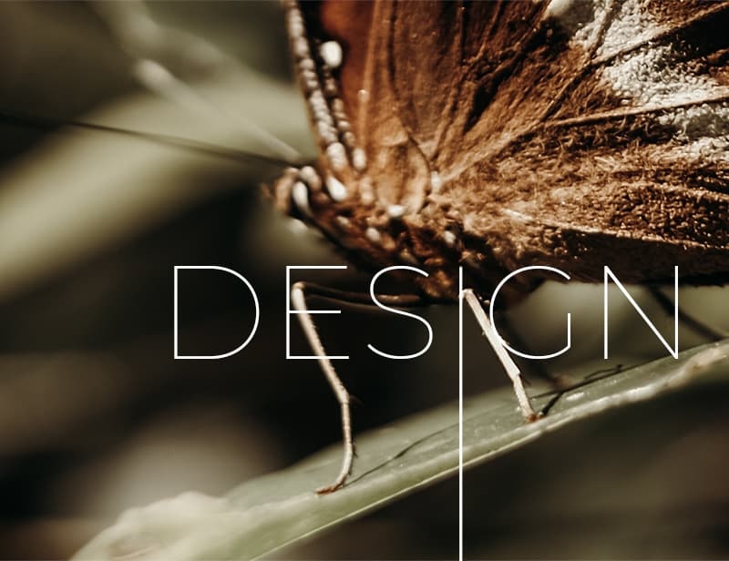 20 Year Anniversary - Design